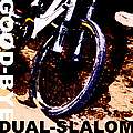 GOOD-BYE DUAL-SLALOM (����� ����: ���� ���)