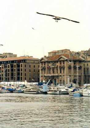 ����� ���� ���� ������ (�����: Le Tour)
