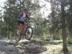 ���� ������ 