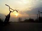 BMX
BMX
BAR Algarisi
