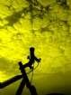 biking - 6.JPG