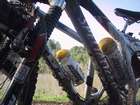 ��� ����
GT + Specialized
����