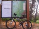 avi2.jpg