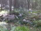 25022011027.jpg