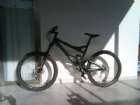eynan levi
no#1 of specialized
eynan levi