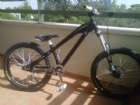 Santa Cruz Jackal