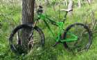 My Transition Bandit 29