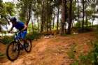 Dirt jump
���� �����