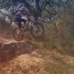 bike aviel.jpg
����� �������� 