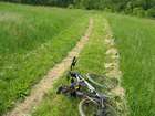 Bikes need a rest too
Scalpel on the trail
Nathan