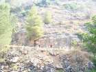 EasyRider at "KEDOSHIM" forest
akiva bornshtein