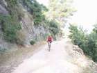 EasyRider at "KEDOSHIM" forest
akiva bornshtein