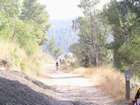 EasyRider at "KEDOSHIM" forest
akiva bornshtein