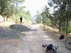 EasyRider at "KEDOSHIM" forest
akiva bornshtein