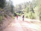 EasyRider at "KEDOSHIM" forest
akiva bornshtein
