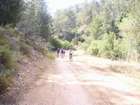 EasyRider at "KEDOSHIM" forest
akiva bornshtein