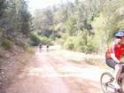 EasyRider at "KEDOSHIM" forest
akiva bornshtein
