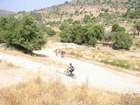 EasyRider at "KEDOSHIM" forest
akiva bornshtein