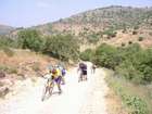 EasyRider at "KEDOSHIM" forest
akiva bornshtein