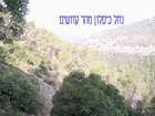 EasyRider at "KEDOSHIM" forest
akiva bornshtein