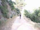 EasyRider at "KEDOSHIM" forest
akiva bornshtein