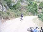 EasyRider at "KEDOSHIM" forest
akiva bornshtein