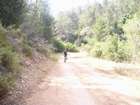 EasyRider at "KEDOSHIM" forest
akiva bornshtein