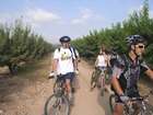 EZriders ������ �����+�����
akiva bornshtein