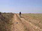EZriders ���� ������
akiva bornshtein