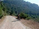 EZriders ��� ���� �������
victor zanna