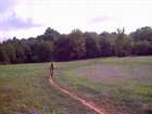 Out of the woods
Shaked