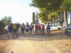 http://www.harim.co.il/pics.as
akiva bornshtein