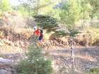 http://www.harim.co.il/pics.as
akiva bornshtein