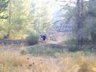 http://www.harim.co.il/pics.as
akiva bornshtein