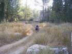 http://www.harim.co.il/pics.as
akiva bornshtein