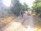 http://www.harim.co.il/pics.as
akiva bornshtein