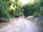 http://www.harim.co.il/pics.as
akiva bornshtein