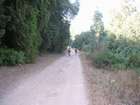 http://www.harim.co.il/pics.as
akiva bornshtein
