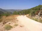 EZriders ��� ���� �������
akiva bornshtein