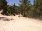 EZriders ��� ���� �������
akiva bornshtein
