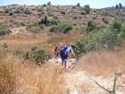 EZriders ��� ���� �������
akiva bornshtein