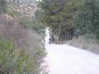 EZriders  ���� �������
akiva bornshtein