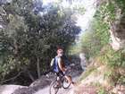���� �������
�����
�����