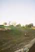 ����� �� �� ����� 
���� ����