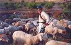 ����� ����� �����
����� ���� �����