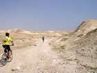 ����� ����� ������