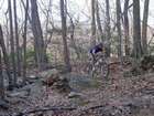 David off the Jersey trail...