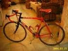 Pinarello ANGLIRU Rosso
������ ���� ����