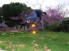 try this
front wheel standing
GZ