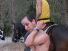 ��� �����
��� ���� ������
���� ������